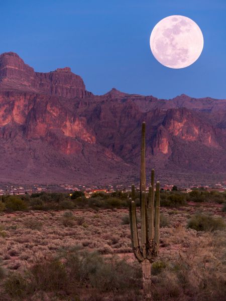 A desert landscape featuring a tall cactus in the foreground, rugged mountains in the background, and a large full moon in the twilight sky.